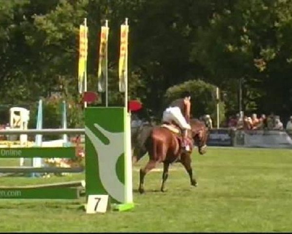 Bietigheim-Bissingen
Samstag,den 03.09.2011
06 Springprüfung Kl.S* German Horse Pellets
