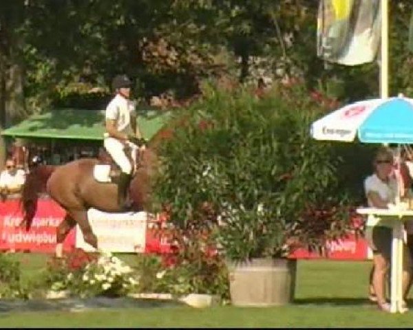 Bietigheim-Bissingen
Samstag,den 03.09.2011
02 Springprfg.Kl.S m.St.** Qualifikationspringen
