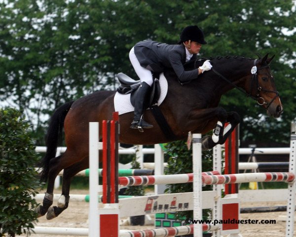 jumper Rock's Hope (Rhinelander, 2004, from Rockwell)