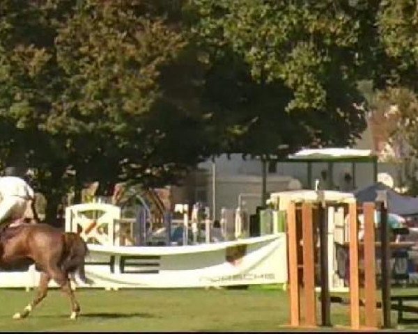 Bietigheim-Bissingen
Samstag,den 03.09.2011
02 Springprfg.Kl.S m.St.** Qualifikationspringen
