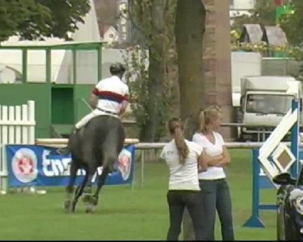 Bietigheim-Bissingen
Freitag,den 02.09.2011
08 b Springprüfung Kl.M**
