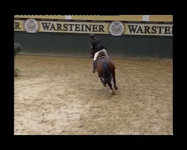 Sonntag,den 13.November 2011
02 Stilspringprfg. Kl.A*
2.Abt: Teilnehmer Spr.Pkte.6 und mehr
