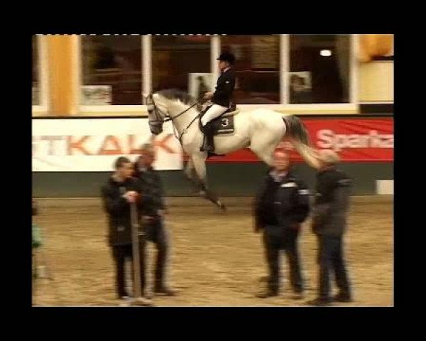 Kleine Trophy des Wartseiner Reitverein e.V.
Samstag,den 12.November 2011
08 Springprfg.Kl.S m.St.*
