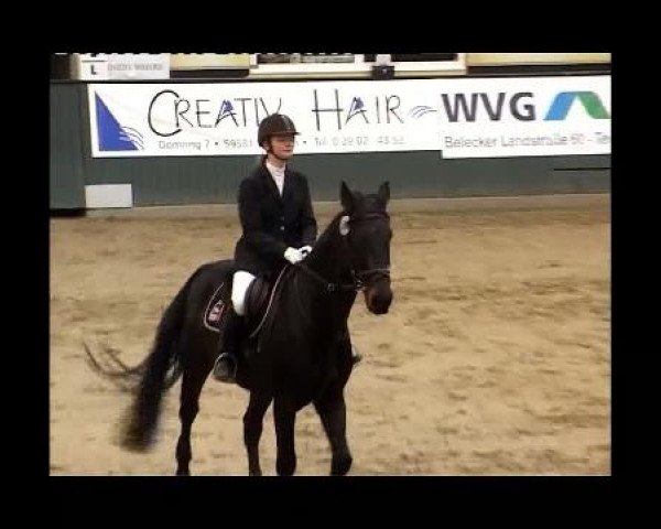 Kleine Trophy des Wartseiner Reitverein e.V.
Sonntag,den 13.November 2011
01 Stilspring WB Kl.E
