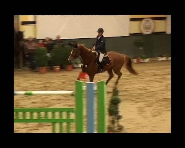 Kleine Trophy des Wartseiner Reitverein e.V.
Samstag,den 12.November 2011
08 Springprfg.Kl.S m.St.*