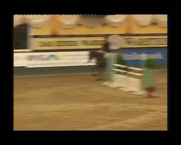 Kleine Trophy des Wartseiner Reitverein e.V.
Samstag,den 12.November 2011
07 Springprüfung Kl.M**
2.Abt: Teiln.Spr.Pkte.4000 und mehr platz.in
