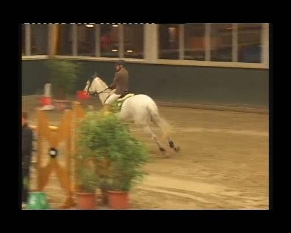 Kleine Trophy des Wartseiner Reitverein e.V.
Samstag,den 12.November 2011
07 Springprüfung Kl.M**
2.Abt: Teiln.Spr.Pkte.4000 und mehr platz.in

