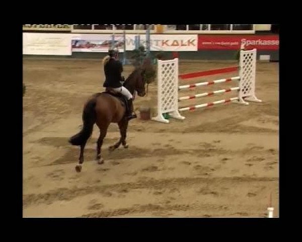 Kleine Trophy des Wartseiner Reitverein e.V.
Samstag,den 12.November 2011
07 Springprüfung Kl.M**
2.Abt: Teiln.Spr.Pkte.4000 und mehr platz.in
