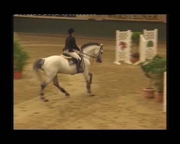 Kleine Trophy des Wartseiner Reitverein e.V.
Samstag,den 12.November 2011
07 Springprüfung Kl.M**
2.Abt: Teiln.Spr.Pkte.4000 und mehr platz.in

