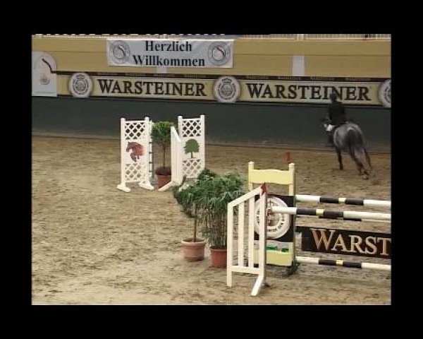 Kleine Trophy des Wartseiner Reitverein e.V.
Samstag,den 12.November 2011
07 Springprüfung Kl.M**
1.Abt: Teiln. Spr.Pkte.0-3999 platz.in 2 Abt.
