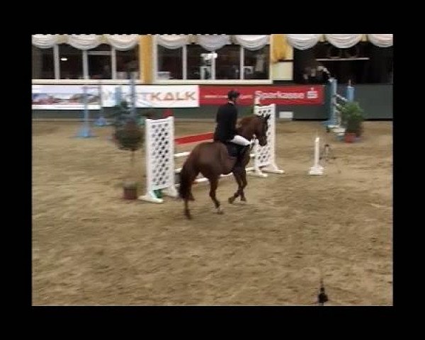 Kleine Trophy des Wartseiner Reitverein e.V.
Samstag,den 12.November 2011
07 Springprüfung Kl.M**
1.Abt: Teiln. Spr.Pkte.0-3999 platz.in 2 Abt.
Florentine 62 SOLD to TURKEY