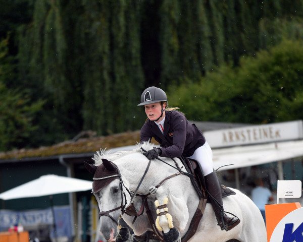 Zuchtstute Lara 584 (Dänisches Warmblut, 2006, von Corratus)