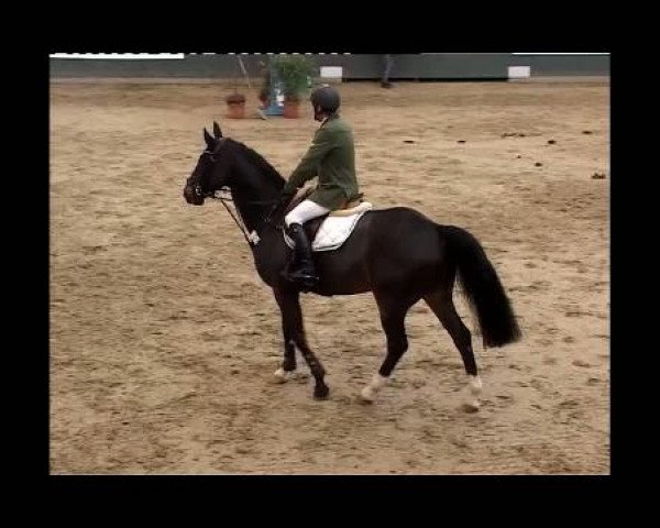 Kleine Trophy des Wartseiner Reitverein e.V.
Samstag,den 12.November 2011
06 Zeitspringprfg.Kl.M*
1.Abt: Teilnehmer LK 3,4 platz.in 2 Abt.
