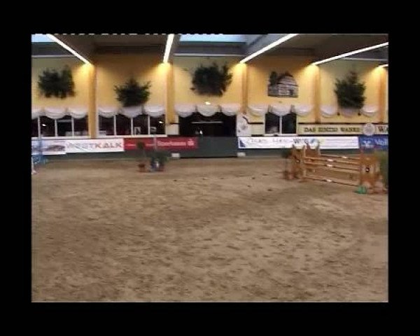 Kleine Trophy des Wartseiner Reitverein e.V.
Samstag,den 12.November 2011
06 Zeitspringprfg.Kl.M*
1.Abt: Teilnehmer LK 3,4 platz.in 2 Abt.
Florentine 62 SOLD to TURKEY