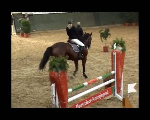 Kleine Trophy des Wartseiner Reitverein e.V.
Freitag,den 11.November 2011
09 Springpferdeprfg. Kl.A
