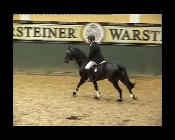 Kleine Trophy des Wartseiner Reitverein e.V.
Freitag,den 11.November 2011
09 Springpferdeprfg. Kl.A
