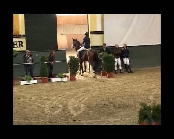 Kleine Trophy des Wartseiner Reitverein e.V.
Freitag,den 11.November 2011
09 Springpferdeprfg. Kl.A