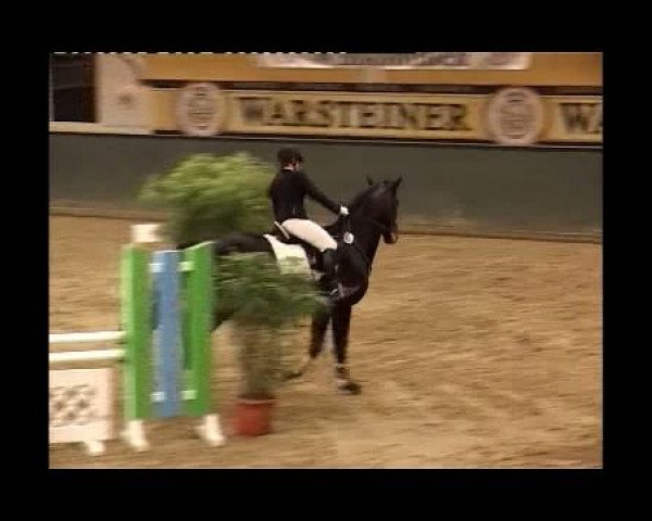 Kleine Trophy des Wartseiner Reitverein e.V.
Freitag,den 11.November 2011
03 Springprfg.Kl.A**
2.Abt: Teilnehmer Spr.Pkte. 16 und mehr
