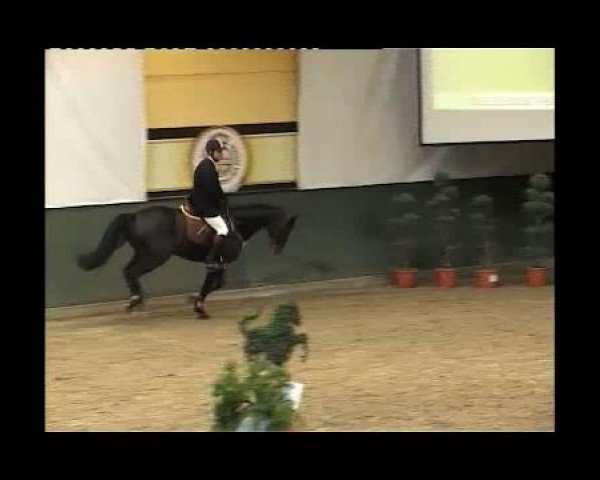Kleine Trophy des Wartseiner Reitverein e.V.
Freitag,den 11.November 2011
10 Springpferdeprfg.Kl.L
