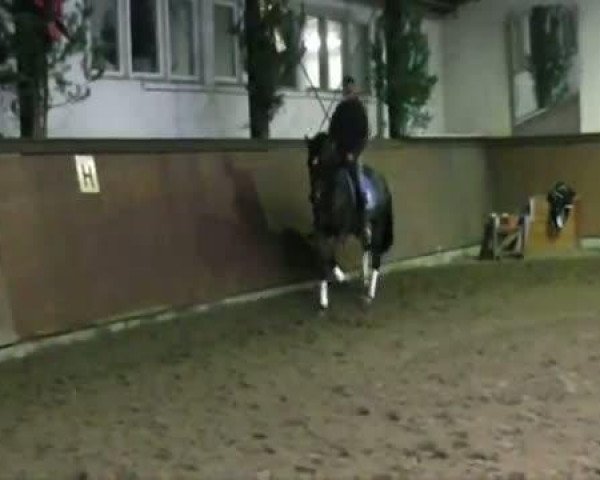 Video of Aurelius