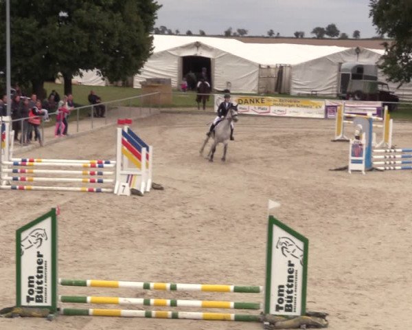 Springreitturnier Hohburg 2021