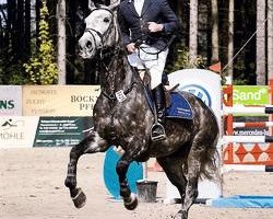 broodmare Quäntchen Glück 2 (Oldenburg, 2004, from Quidam's Rubin)