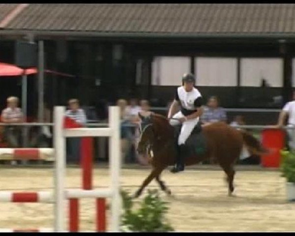 Septemberturnier Appelhülsen 
Samstag,den 10.09.2011 
31 Zwei-Phasen-Springprüfung Kl. S*