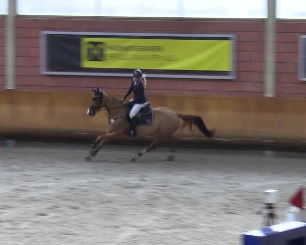 Schloss Wickrath Jumping 2022