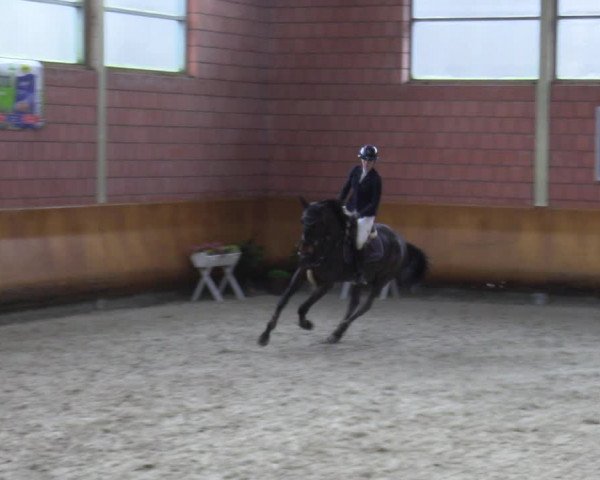Schloss Wickrath Jumping 2022