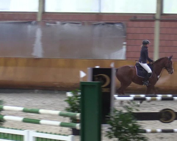 Schloss Wickrath Jumping 2022