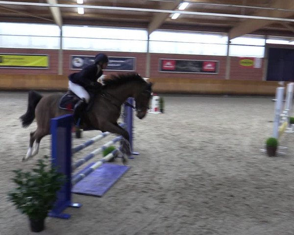 Schloss Wickrath Jumping 2022