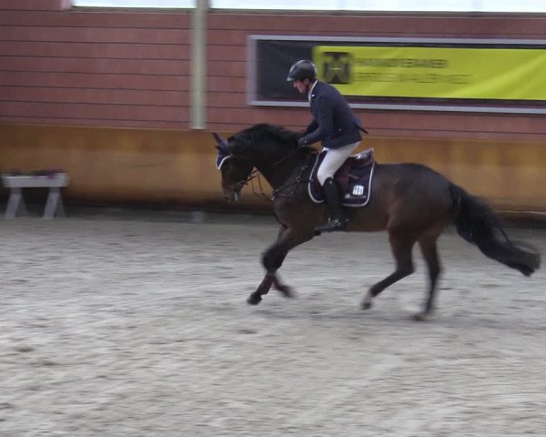 Schloss Wickrath Jumping 2022