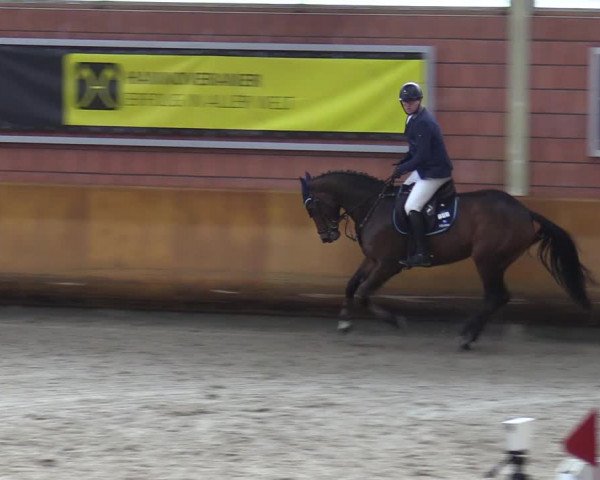 Schloss Wickrath Jumping 2022