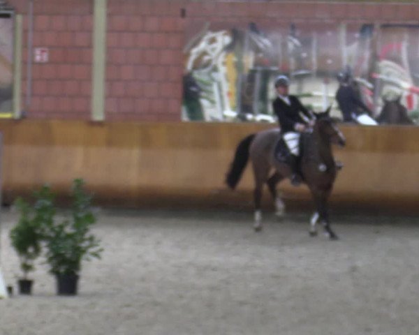 Schloss Wickrath Jumping 2022