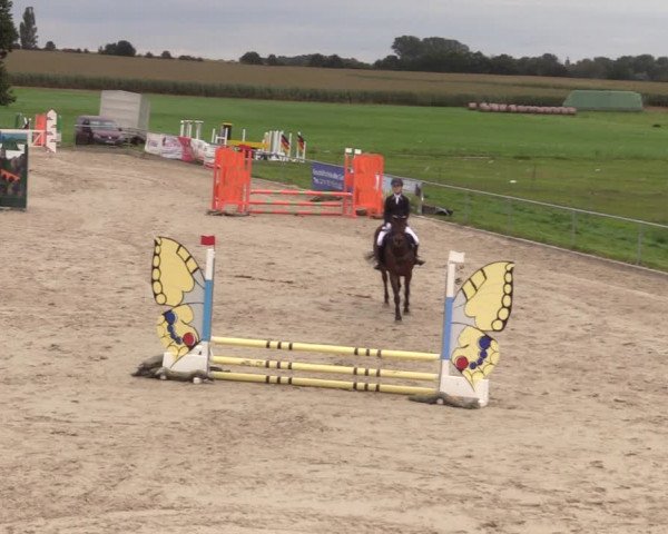 Springreitturnier Hohburg 2021