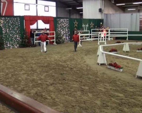 Westfälische Hauptkörung
für Reitponys, Haflinger und Kleinpferde
Sonntag,den 27.11.2011
3.Ring
