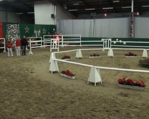 Westfälische Hauptkörung
für Reitponys, Haflinger und Kleinpferde
Samstag,den 26.11.2011
11.Ring
