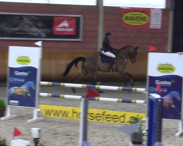 Schloss Wickrath Jumping 2022