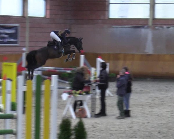 Schloss Wickrath Jumping 2022