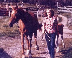 broodmare Follyat ox (Arabian purebred, 1931, from Babyat ox)
