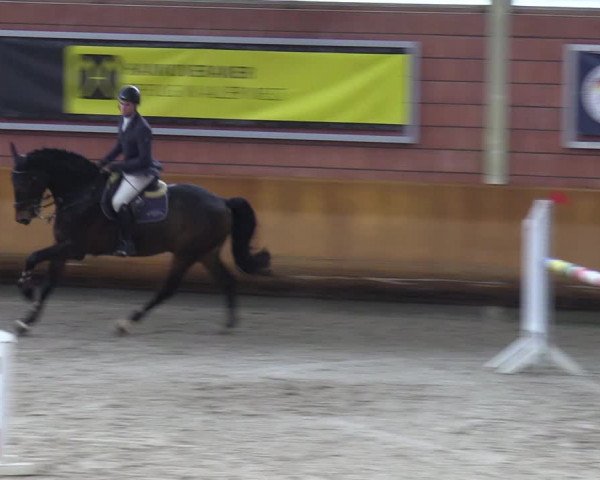 Schloss Wickrath Jumping 2022