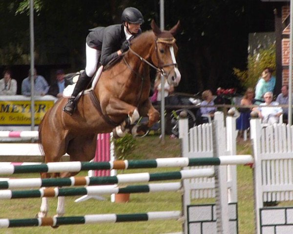 jumper Las Vegas 183 (Oldenburg, 2006, from Landsieger I)