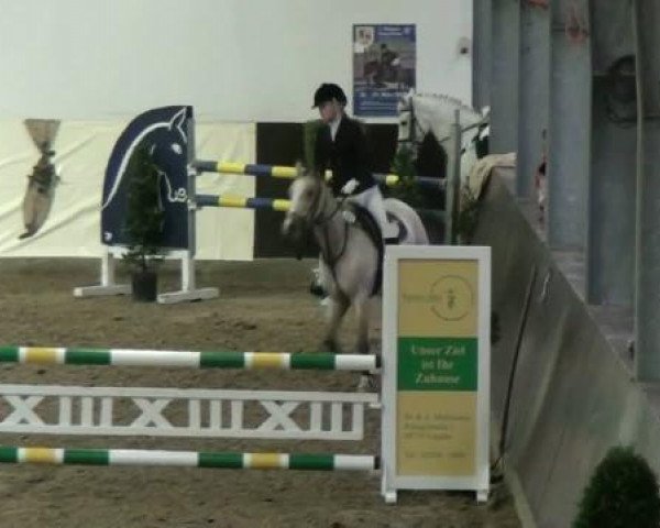 Legdener Ponymeeting 2011 11.11.2011
10_2 Ponystilspringprüfung Kl A** - Letzte Quali "Goldene Dahlie"
