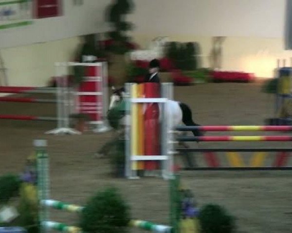 Legdener Ponymeeting 2011 12.11.2011
11_1 Ponyspringprüfung Kl A** - Letzte Quali "Goldene Dahlie"

