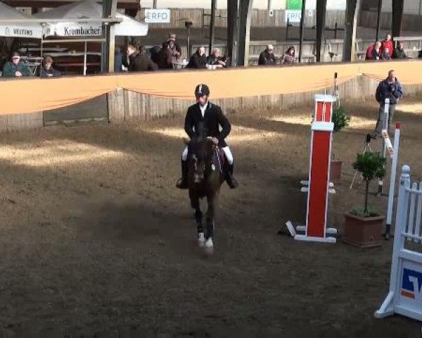 Video of Fellow 137