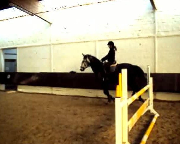 Video of Perfection de Luxe
