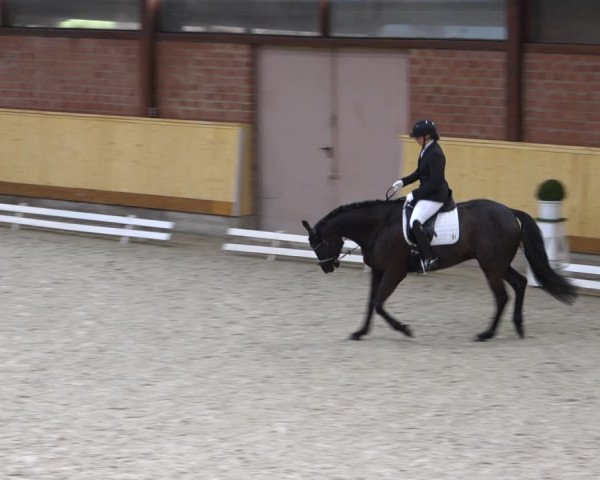 Reitturnier Hamburg-Friedrichshulde/Sylva Kuhrt 2022