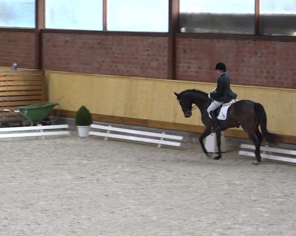 Reitturnier Hamburg-Friedrichshulde/Sylva Kuhrt 2022