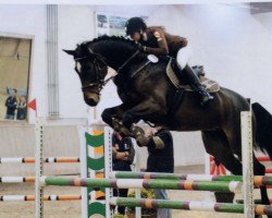 jumper Laurentis 2 (Westphalian, 2009, from Limbus)