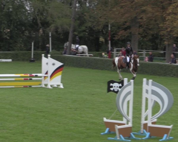 Reitturnier Westeregeln 2021